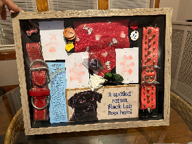 Lap of Love Veterinary Hospice Chicago,
Illinois Testimonial for Dr. Miranda Shaw