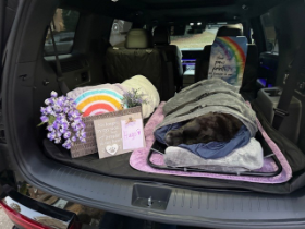 Lap of Love Veterinary Hospice Apex,
North Carolina Testimonial for Dr. Laura Savarese
by Maureen undefined