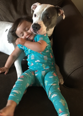 Lap of Love Veterinary Hospice Philadelphia,
Pennsylvania Testimonial for Dr. Nadira Williams
by Matthew undefined