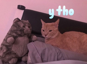 Lap of Love Veterinary Hospice San Diego,
California Testimonial for Dr. Ashley Glatting
by Toshi undefined