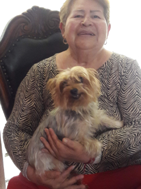 Lap of Love Veterinary Hospice San Antonio,
Texas Testimonial for Dr. Lizann Guzman
by Lily undefined