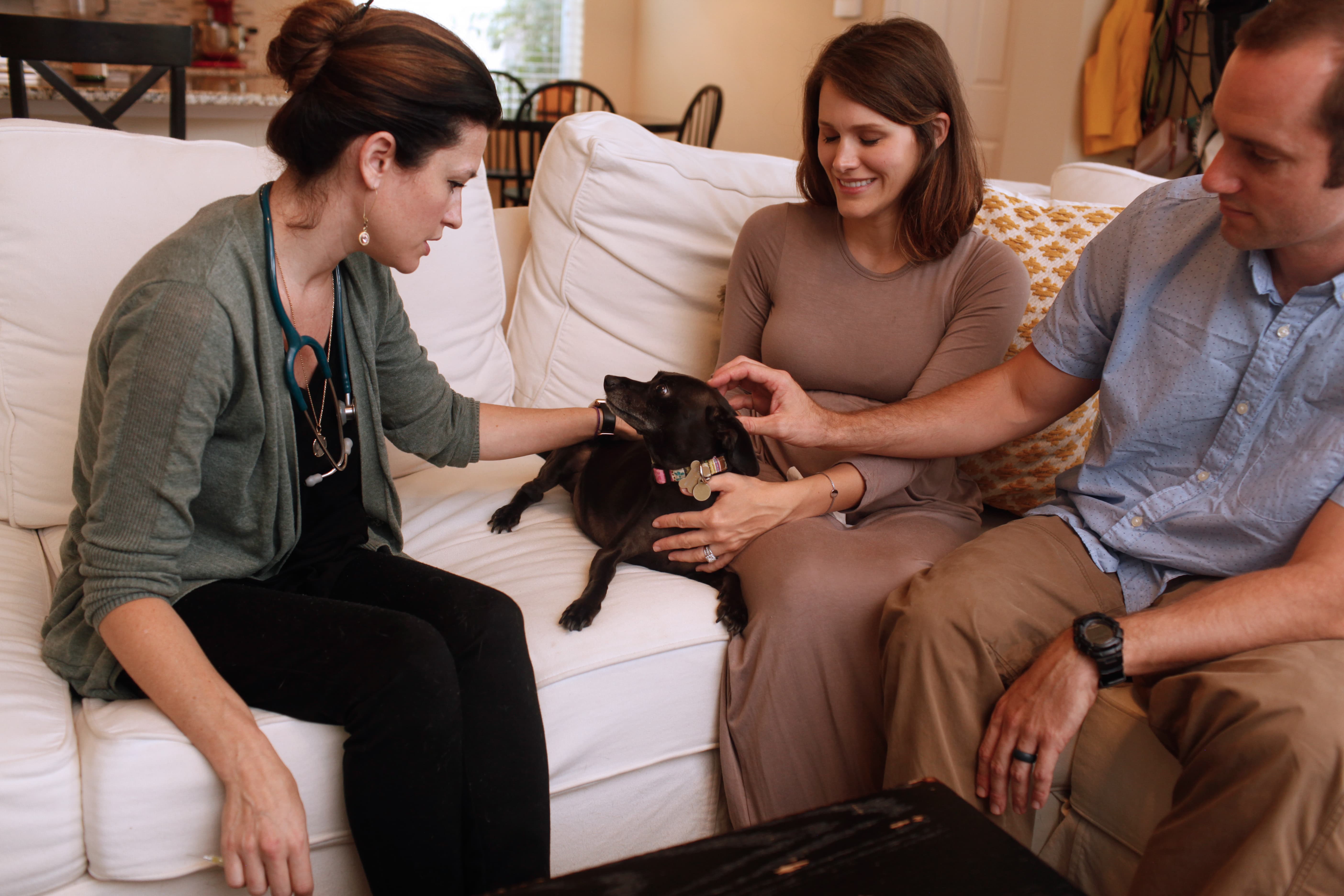 home visit pet euthanasia Senior pet care