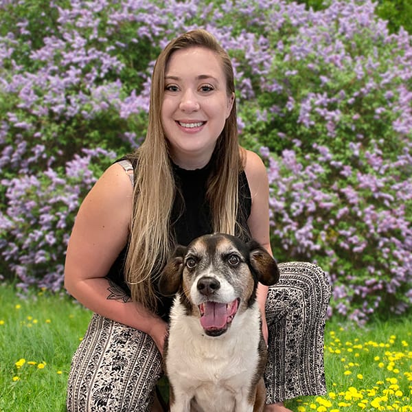 Asheville Lap Of Love Mobile Veterinarians