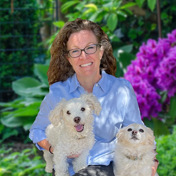 Sacramento Lap Of Love Mobile Veterinarians