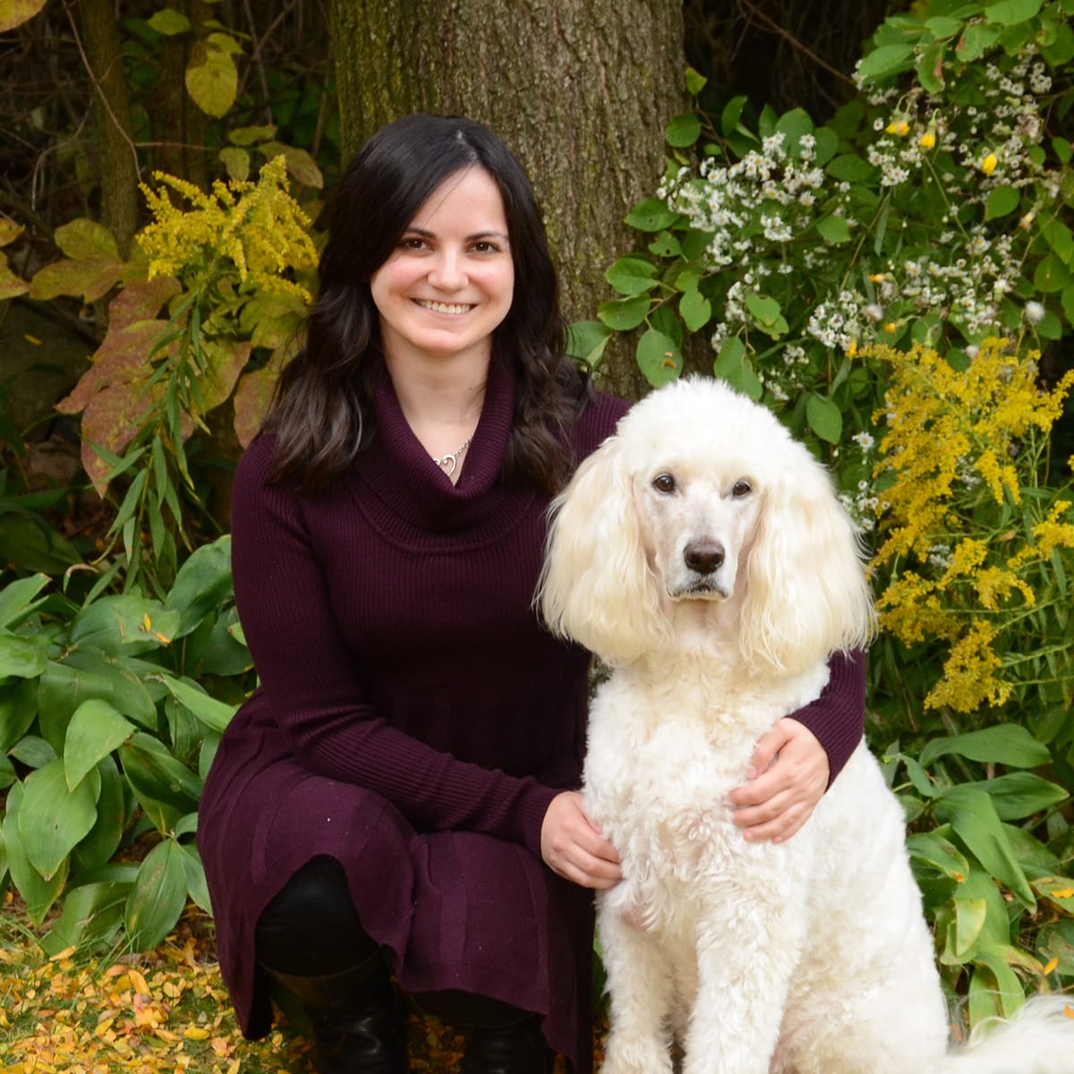 Grand Rapids | Lap of Love | Mobile Veterinarians