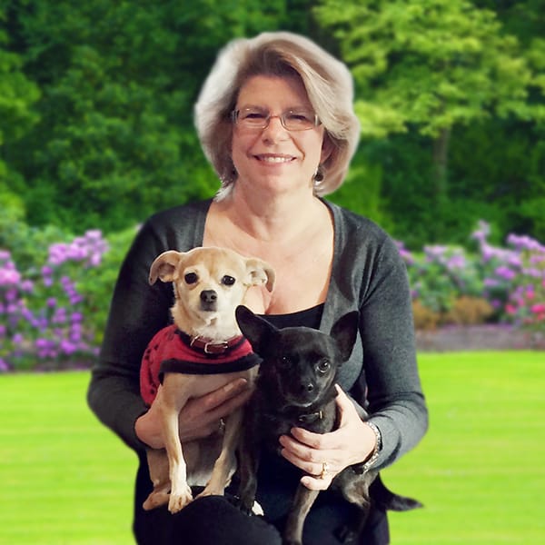 San Francisco North Bay Lap Of Love Mobile Veterinarian