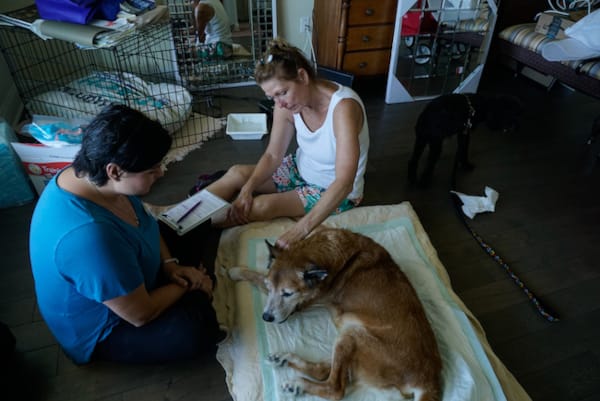 Quality of life assessment