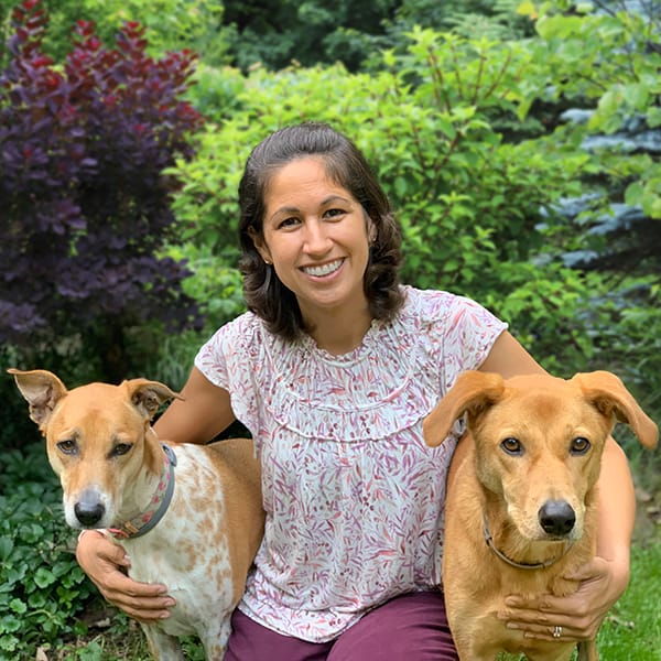 Westchester Lap Of Love Mobile Veterinarians
