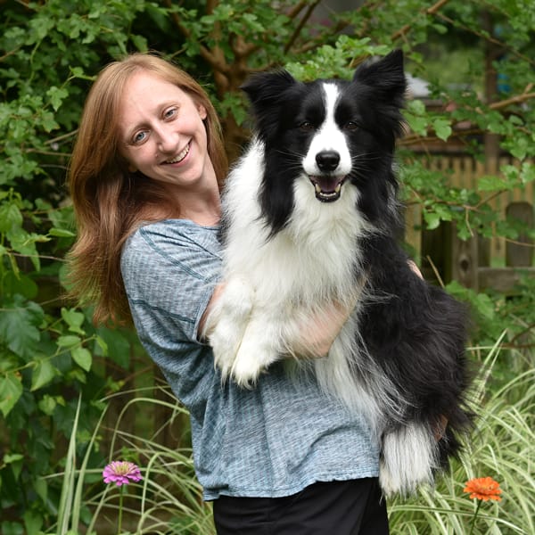 Kansas City Lap Of Love Mobile Veterinarian