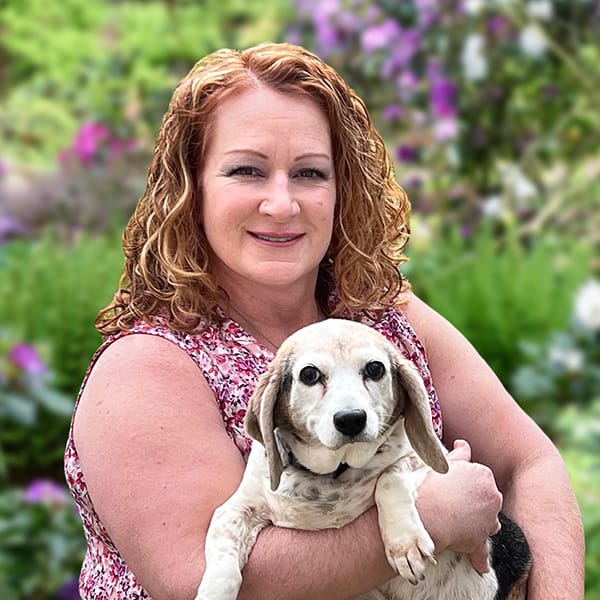 Hartford New Haven Lap of Love Mobile Veterinarian