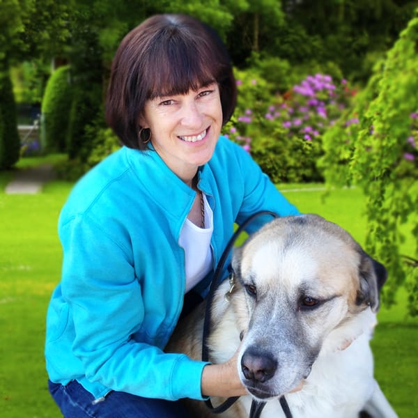 Lexington Lap Of Love Mobile Veterinarians