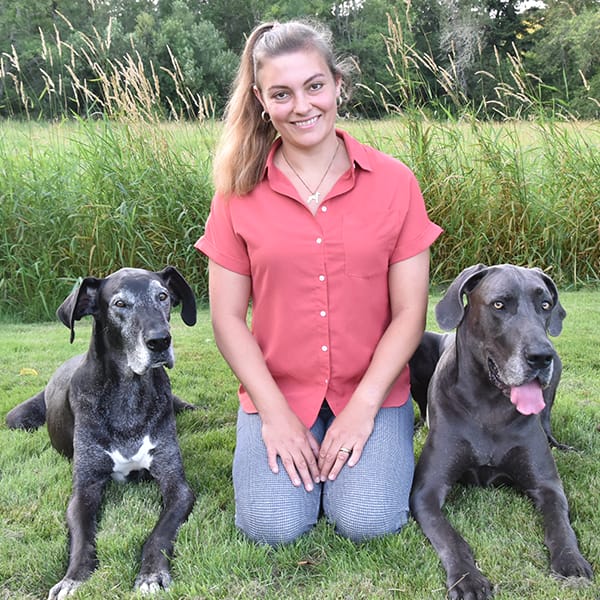 Olympia Lap Of Love Mobile Veterinarians