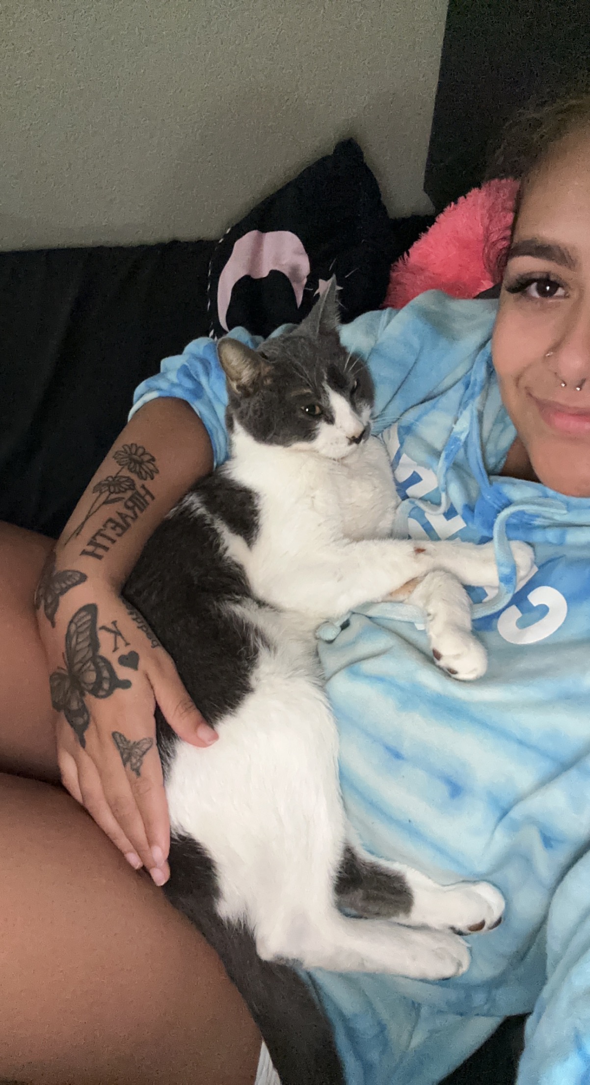 In loving memorial of Pebbles | Lap of Love